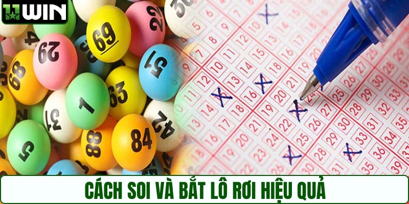 Cách soi và bắt lô rơi hiệu quả