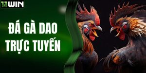 Đá Gà Dao Trực Tuyến - Loại Hình Giải Trí Hấp Dẫn Tại 11WIN