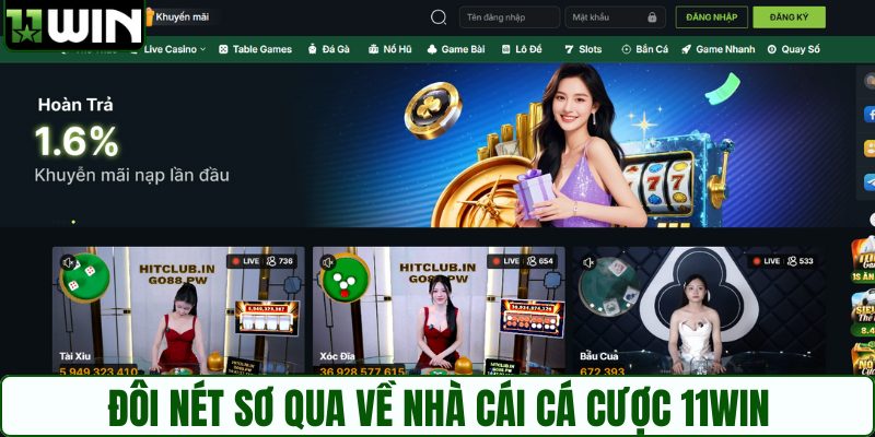 Đôi nét sơ qua về nhà cái cá cược 11WIN