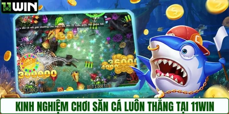 Kinh nghiệm chơi săn cá luôn thắng tại 11WIN