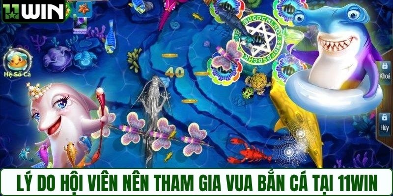 Lý do hội viên nên tham gia vua bắn cá tại 11WIN