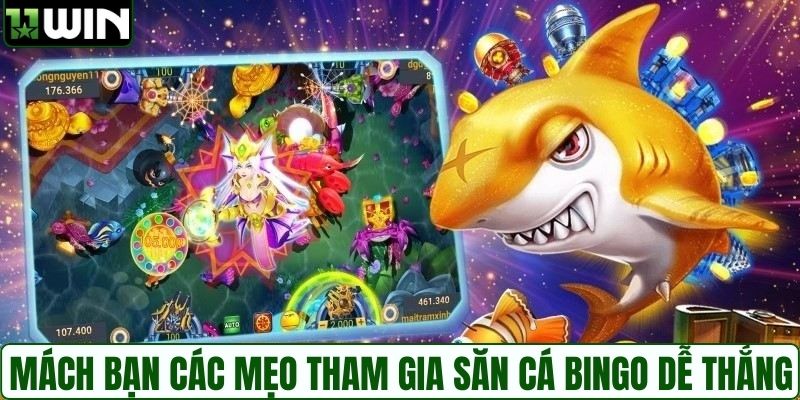 Mách bạn các mẹo tham gia săn cá Bingo dễ thắng nhất