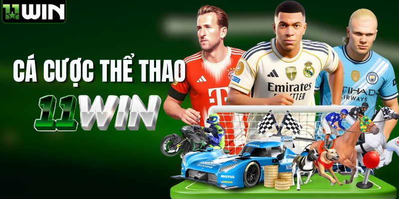 Sảnh cá cược thể thao tại nhà cái