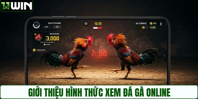 Xem đá gà online trở thành hình thức phổ biến